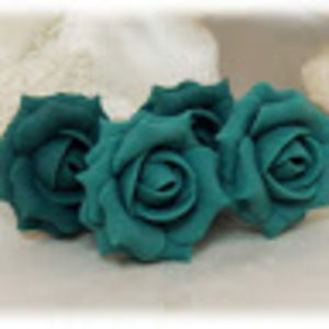 Meet your Posher, Teagan